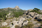 Forêt de l'Ospedale.