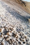 Givre.