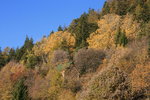 Belles couleurs d'automne.
