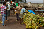 Vendeurs de noix de coco.