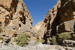 Wadi Nakhr.