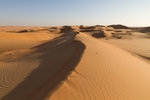 Dunes dans les Wahiba Sands.