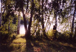 Le soir, sur l'île.